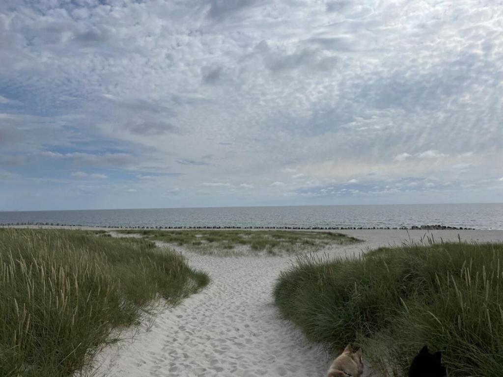 Hues Im Glueck Comfortable * Westerland